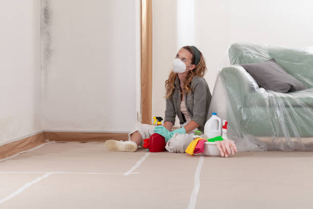 Reliable Crawl Space Mold Removal contractor in New Cumberland, PA by WQB Mold Removal