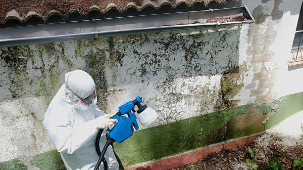 Top rated local Crawl Space Mold Removal specialists in New Cumberland, PA